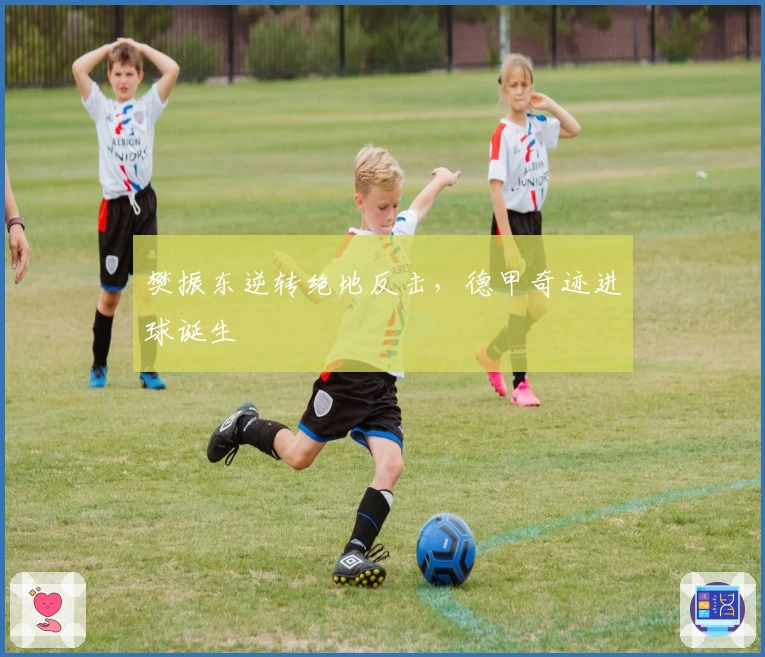 樊振东逆转绝地反击，德甲奇迹进球诞生